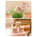 Pony Girl Wooden Stamp